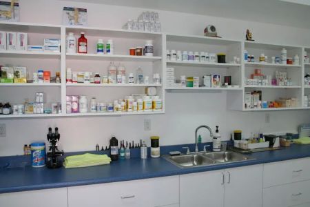 Jamul Veterinary Hospital