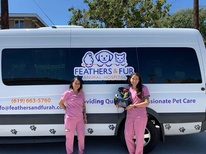 Feathers and Fur Animal Hospital 2