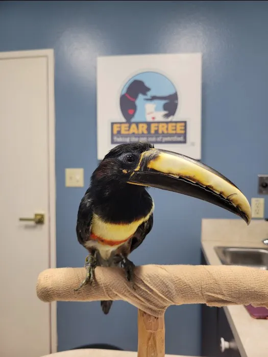 Feathers and Fur Animal Hospital 8