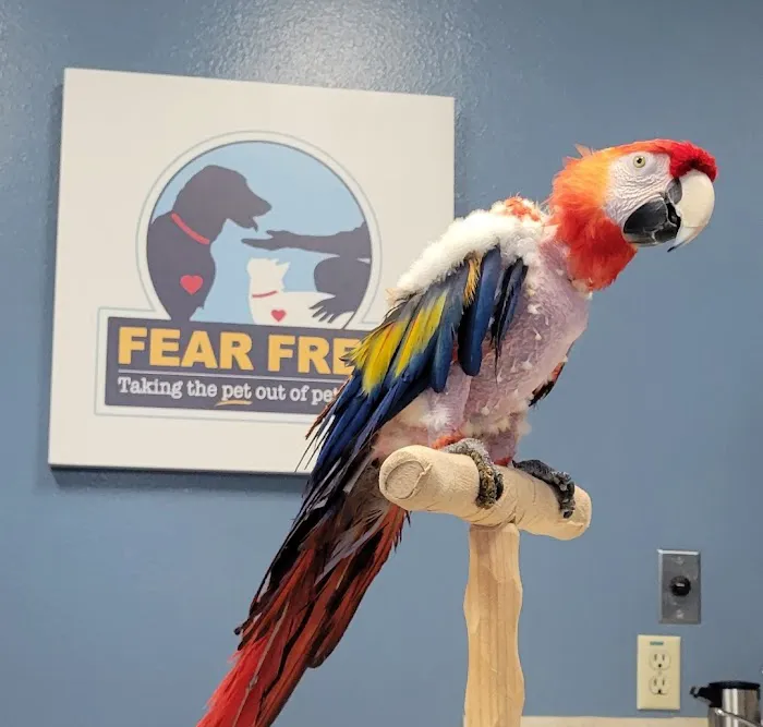 Feathers and Fur Animal Hospital 9