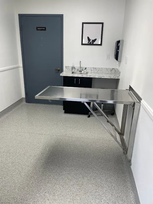 San Diego Pet Hospital 5