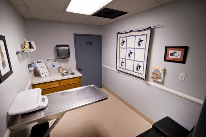 San Diego Pet Hospital 6