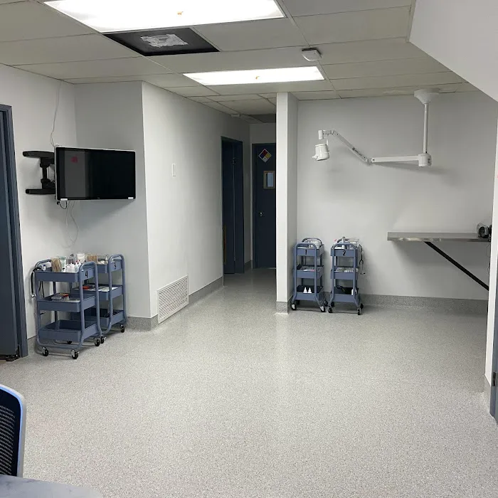 San Diego Pet Hospital 1