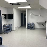 San Diego Pet Hospital ico