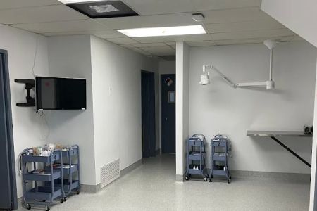 San Diego Pet Hospital