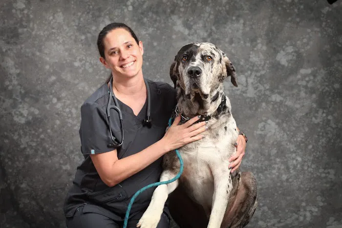 San Diego Pet Hospital 4