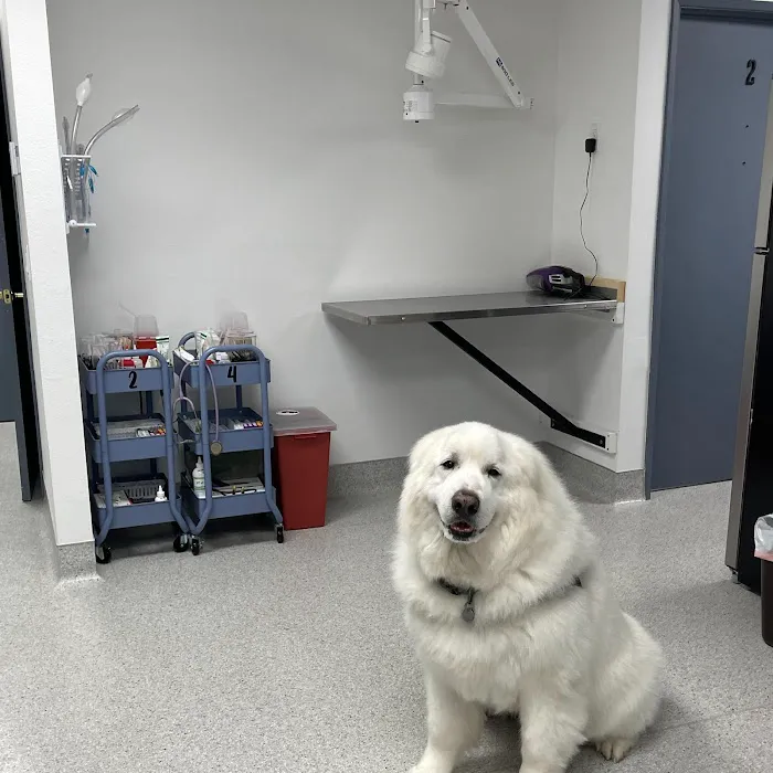 San Diego Pet Hospital 7