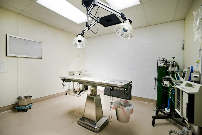 San Diego Pet Hospital 2