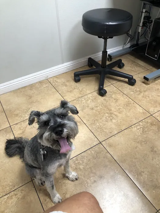 Our Pet Vets - University Pet Hospital 12