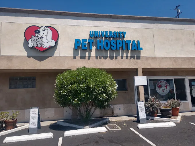 Our Pet Vets - University Pet Hospital 12