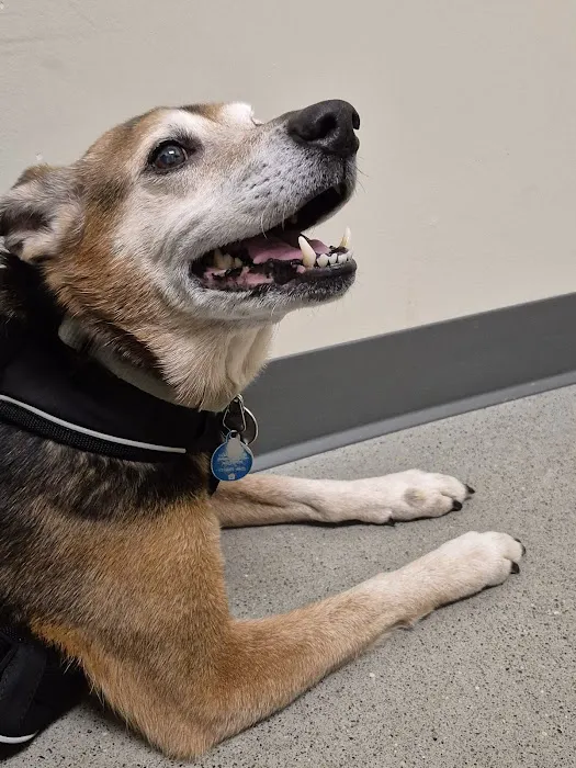 Vetco Total Care Animal Hospital 12