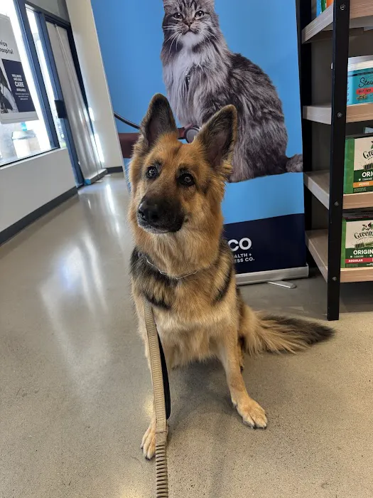 Vetco Total Care Animal Hospital 12