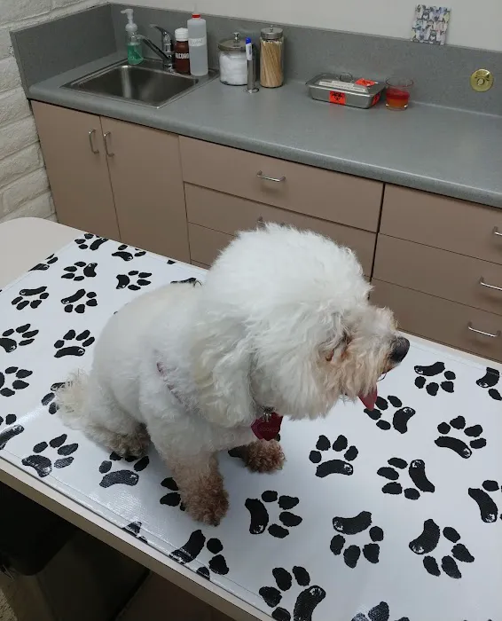 El Cerrito Veterinary Hospital 3