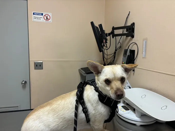 Humane Vet Hospital of San Diego 5