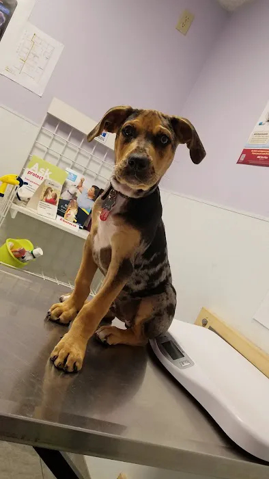 Bonita Pet Care Animal Hospital 12