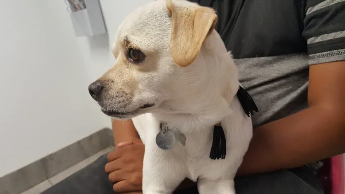 Bonita Pet Care Animal Hospital 12