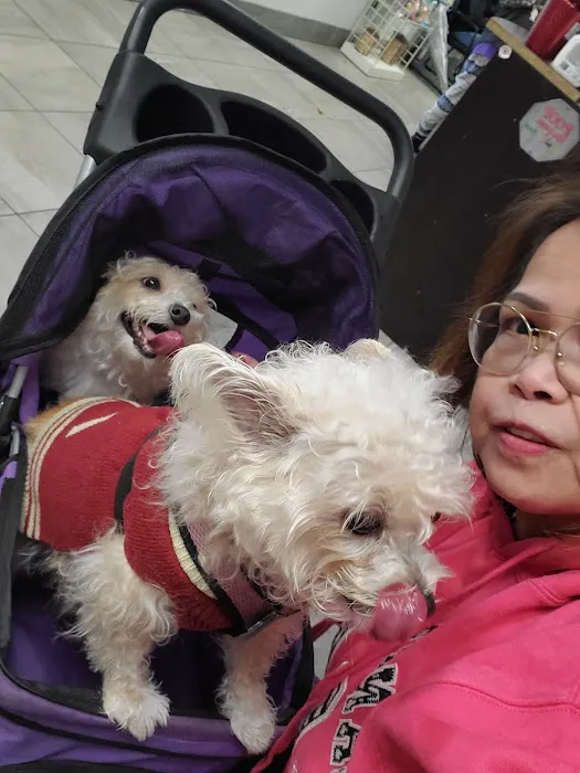 Bonita Pet Care Animal Hospital 12