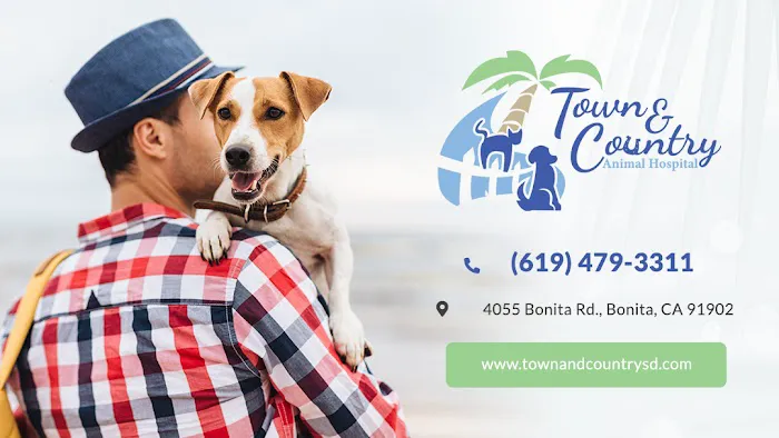Town & Country Animal Hospital 12