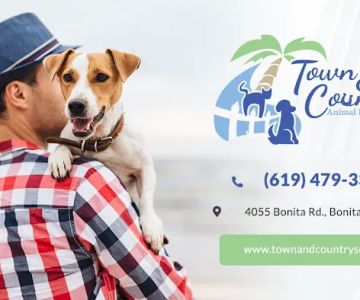 Town & Country Animal Hospital