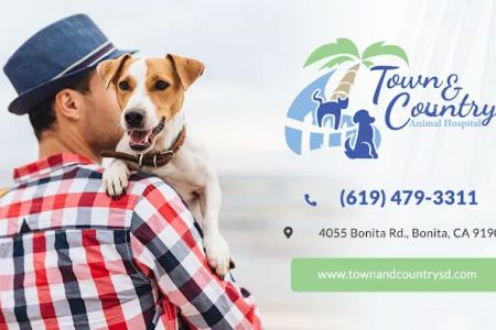 Town & Country Animal Hospital