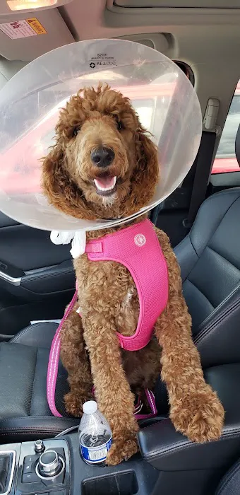 Town & Country Animal Hospital 12