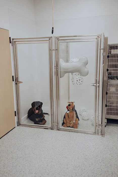 PriorityPet Urgent Care 9