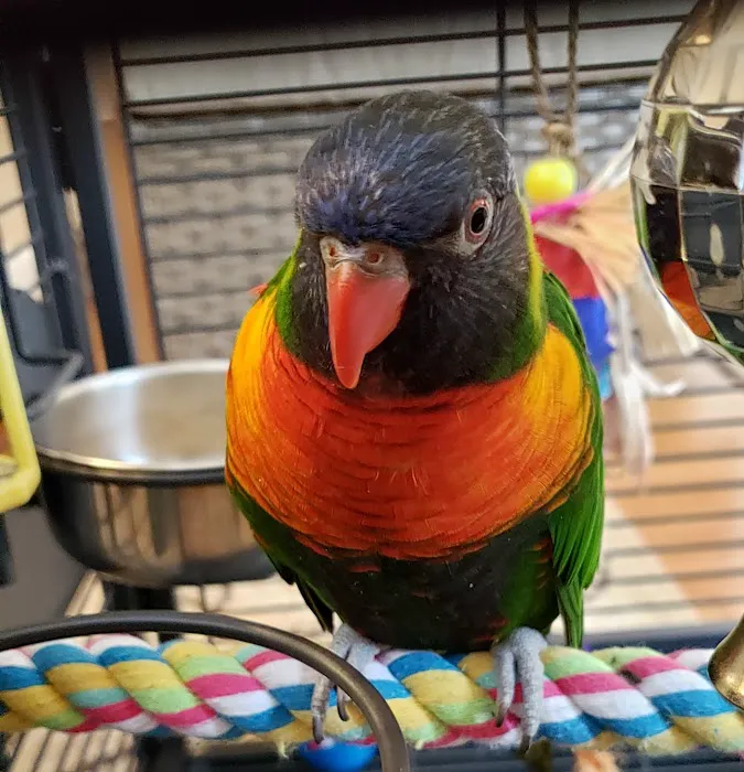 Avian and Exotics Center of Nashville 4