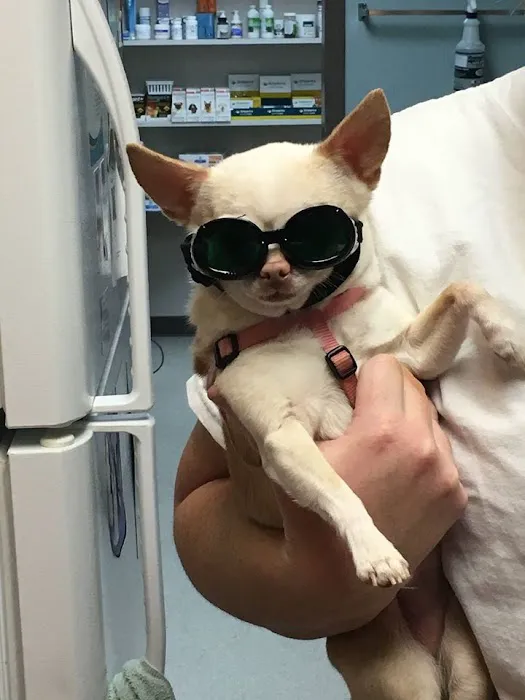 Lebanon Road Animal Hospital 12