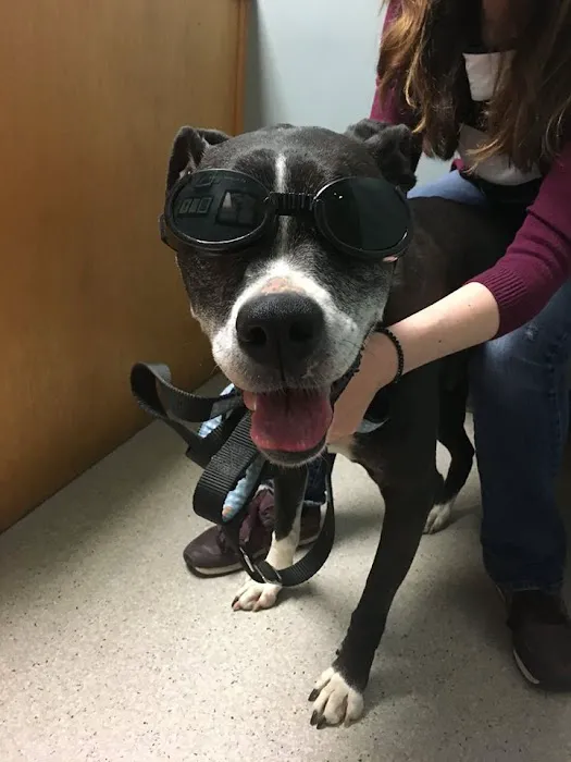 Lebanon Road Animal Hospital 12