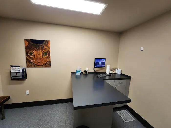 Cumberland Animal Hospital 12