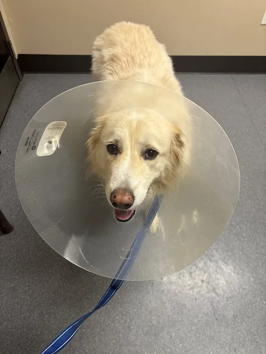 Cumberland Animal Hospital 12