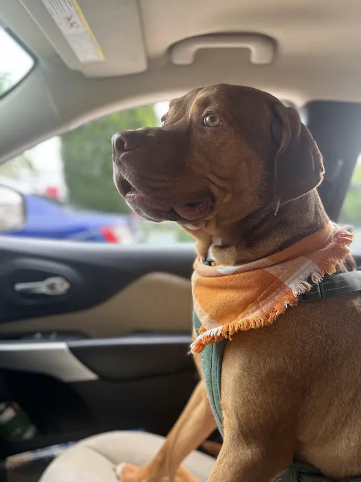 Cumberland Animal Hospital 12