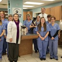 Lebanon Animal Hospital ico