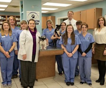 Lebanon Animal Hospital