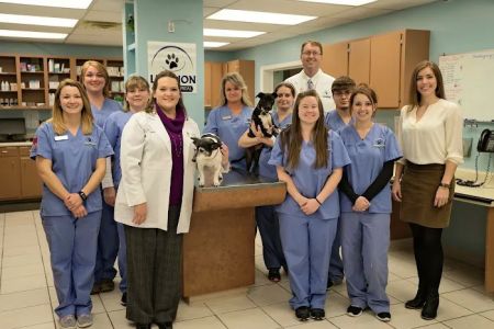 Lebanon Animal Hospital