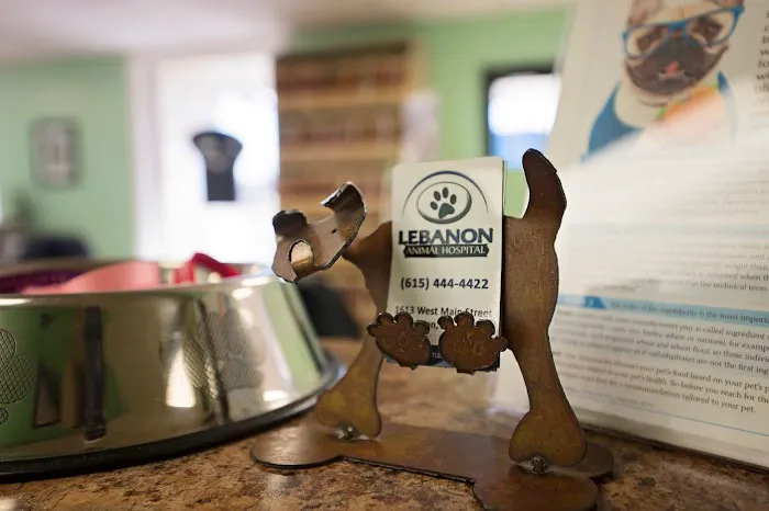 Lebanon Animal Hospital 5
