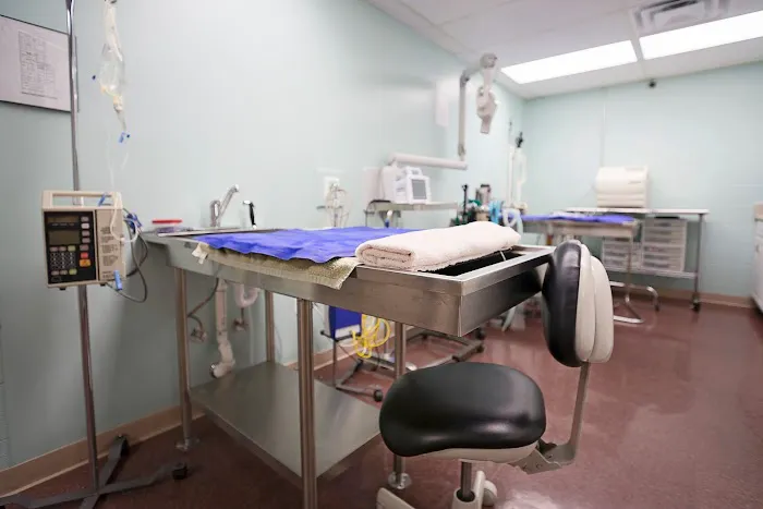 Lebanon Animal Hospital 4