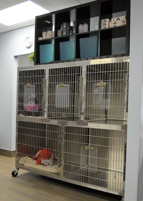 Lakeside Animal Hospital 12