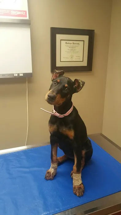 McCormick Animal Clinic 12