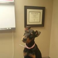 McCormick Animal Clinic ico