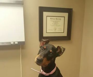 McCormick Animal Clinic