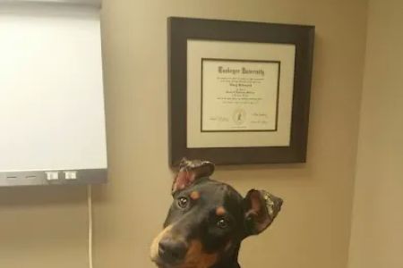 McCormick Animal Clinic
