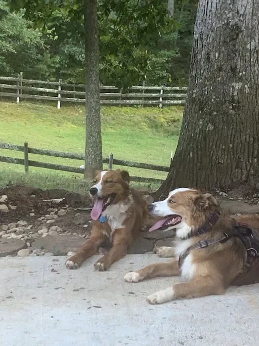 McCormick Animal Clinic 12