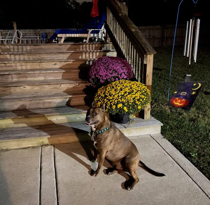 Elm Hill Veterinary Clinic 6