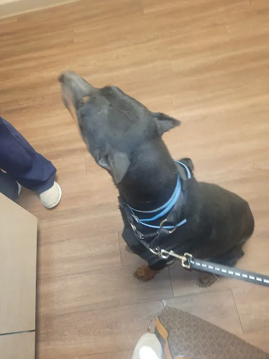 Las Palmas Pet Clinic 10