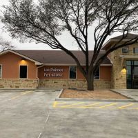 Las Palmas Pet Clinic ico