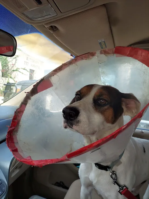 TERRELL HEIGHTS VETERINARY HOSPITAL 2