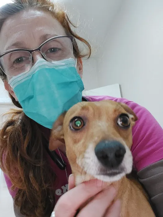 TERRELL HEIGHTS VETERINARY HOSPITAL 4