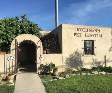 TERRELL HEIGHTS VETERINARY HOSPITAL