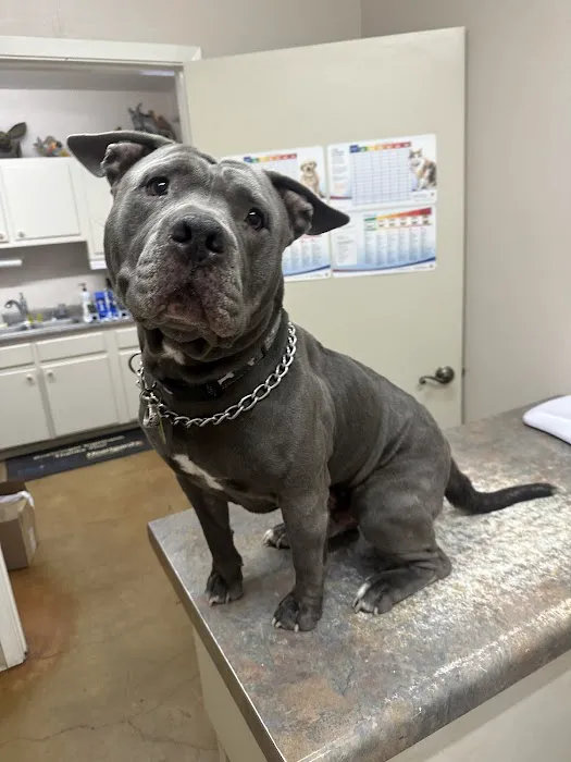 TERRELL HEIGHTS VETERINARY HOSPITAL 6